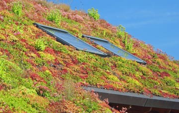 Eye living roof systems