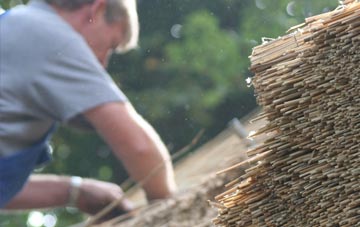 professional Eye thatchers