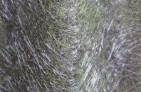 Eye fibreglass roof work